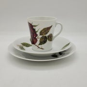 Arabia Ruusu kahvikuppi, asetti ja pullalautanen