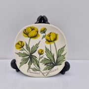 Arabia Botanica Sein&auml;lautanen, Niittykullervo