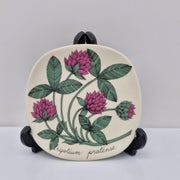 Arabia Botanica Sein&auml;lautanen, Puna-apila