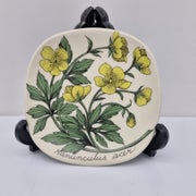 Arabia Botanica Sein&auml;lautanen, Niittyleinikki