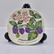 Arabia Botanica Sein&auml;lautanen, Karhunvadelma