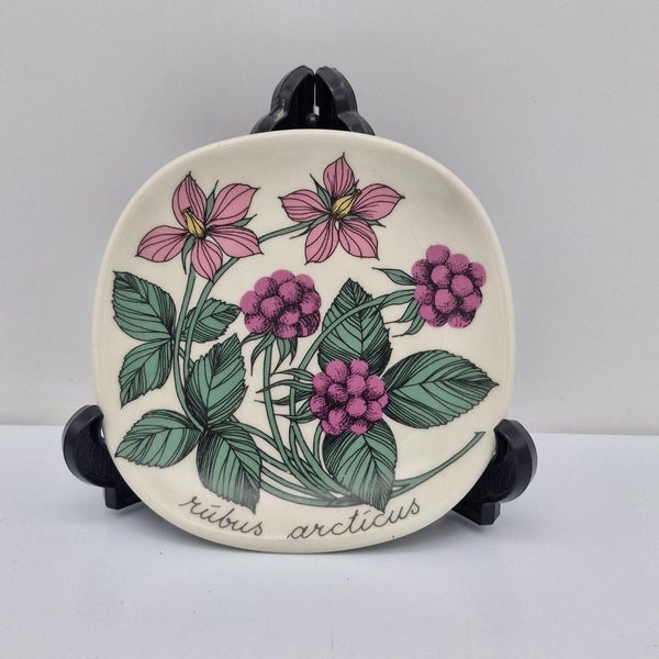 Arabia Botanica Sein&auml;lautanen, Mesimarja